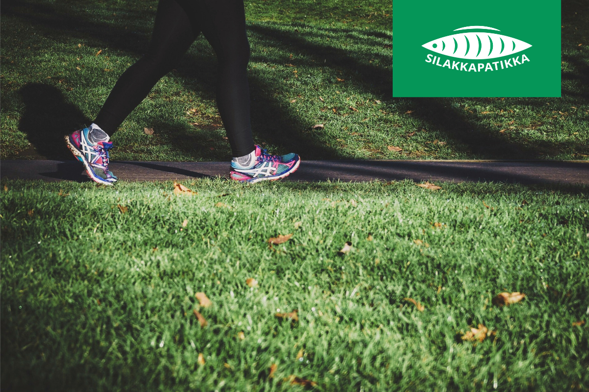 Silakkapatikka (ei saatavilla)