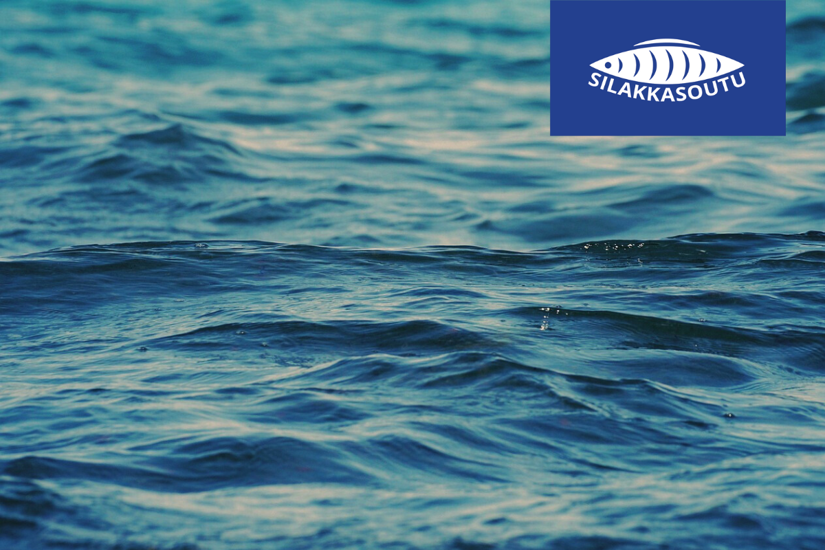 Yrityspaketti 4 - tuki Itämeren hyväksi (ei saatavilla)